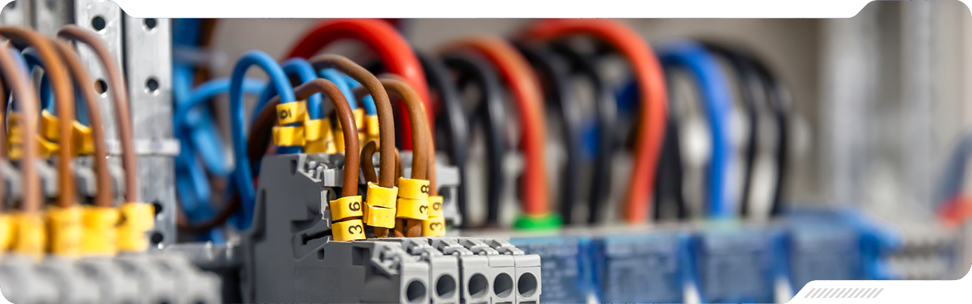 Separador imagen Nuevo León