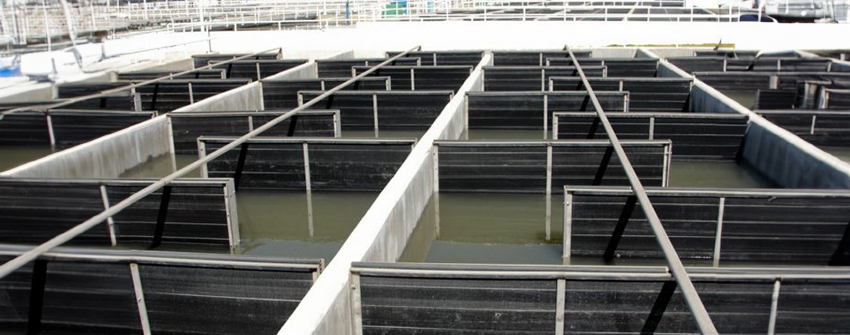 Motores e Ingeniería MexMot, Constructor, Residencia General de operación de Sistema